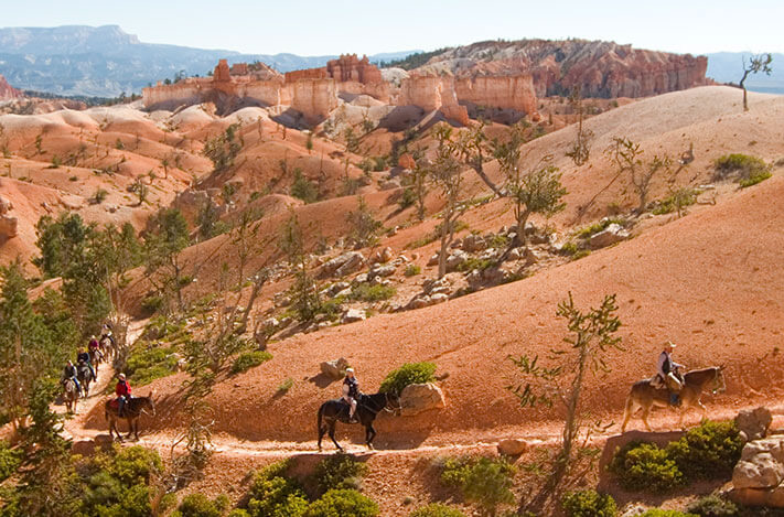 Horseback Riding at Bryce Canyon