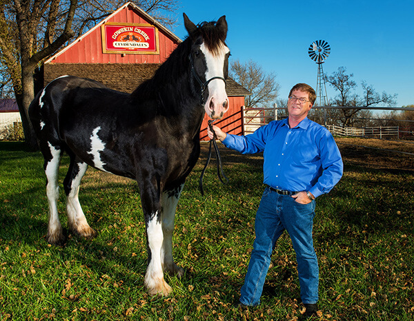 Scott and his Clydesdale