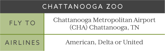 Chattanooga Zoo Trip Flight Times